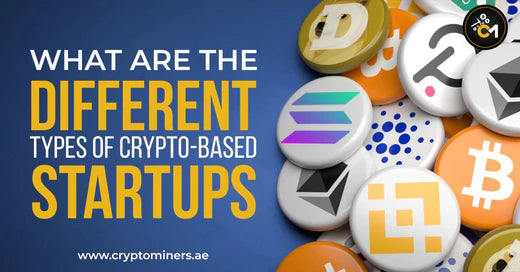 What are the different types of crypto-based startups?